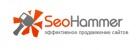 SeoHammer